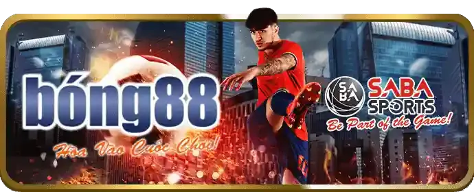 Mẹo cá cược thể thao hiệu quả